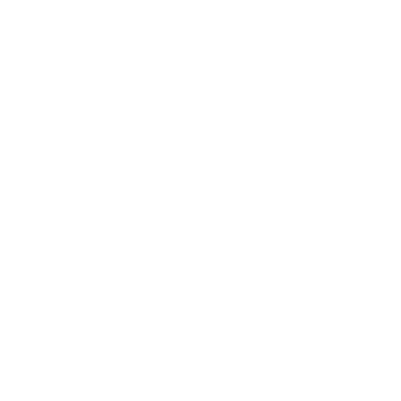 pm-icon-1