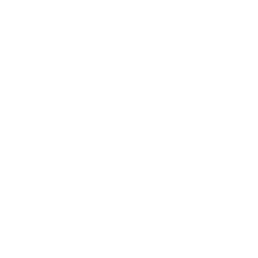 pm-icon-4
